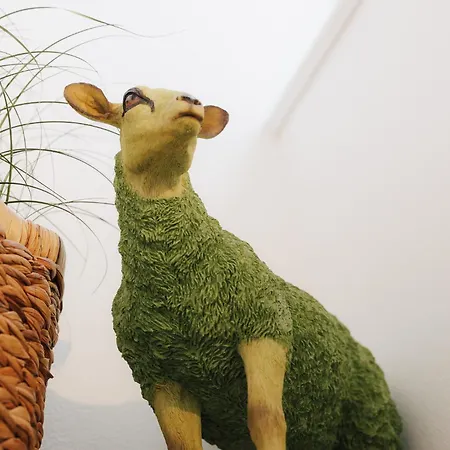 度假居 Sylter Friesenherz